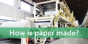 how paper is made?