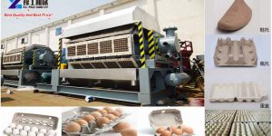 egg tray carton making machine