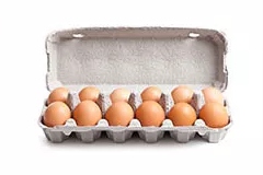 12 holes egg carton