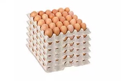 egg tray