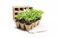 seedling tray