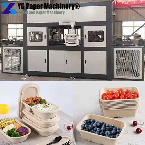 biodegradable plate making machine price