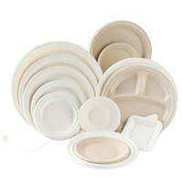 sugarcane bagasse plates