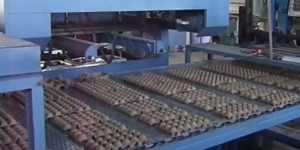 egg tray manufacturing machine