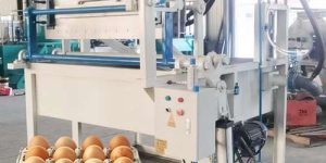 fully automatic egg tray machine price